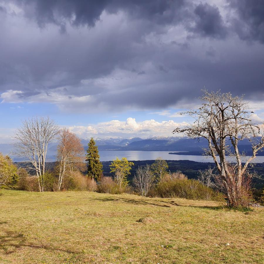 Residence Entre Monts Et Lac Ньон Экстерьер фото