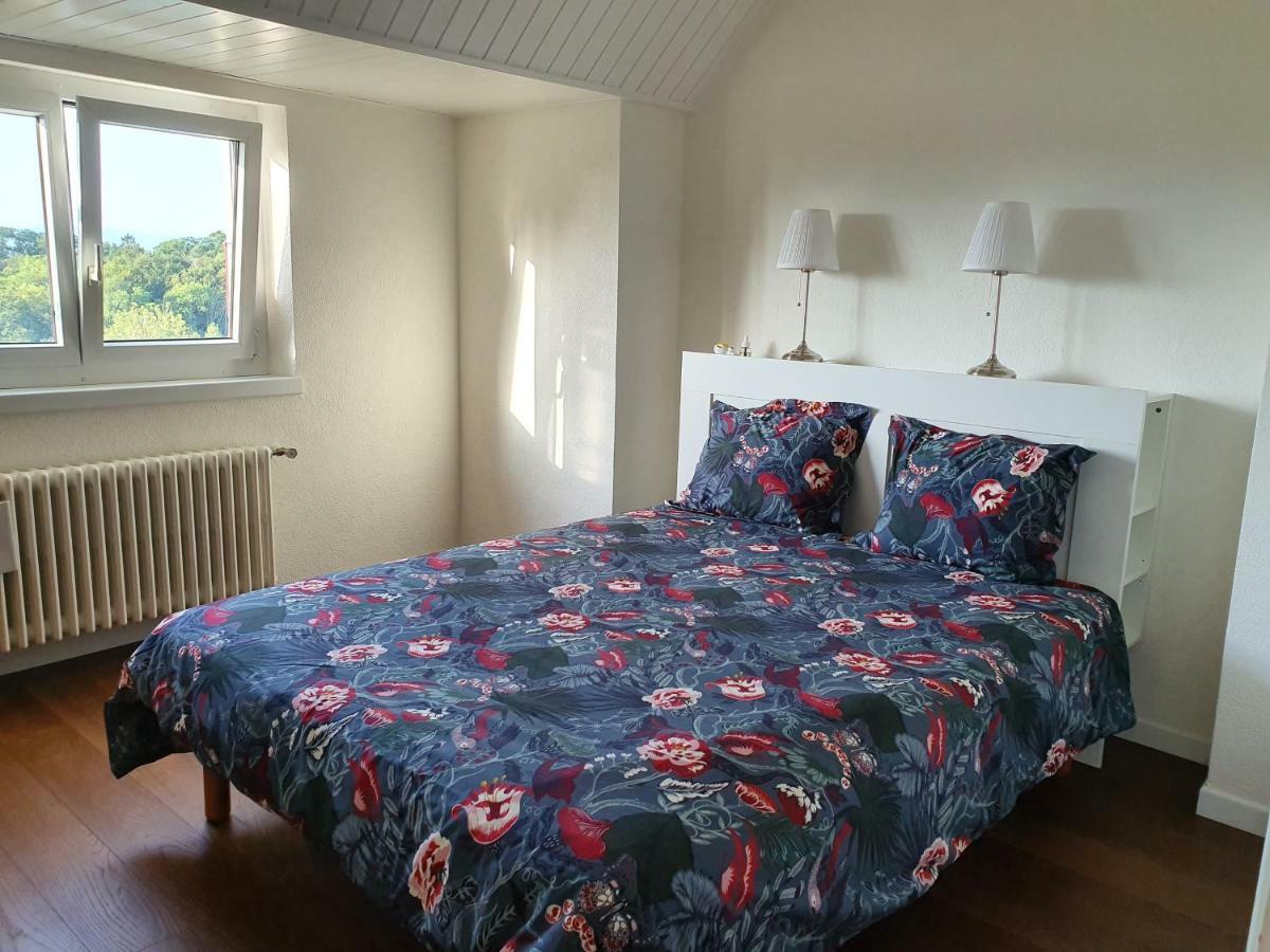 Residence Entre Monts Et Lac Ньон Экстерьер фото
